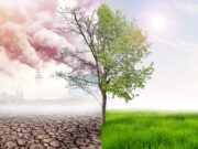 Dan planete Zemlje: Inovacije iz Lactalisa za zaštitu prirodnih blaga naše planete