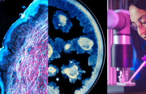 Partnerstvo L’ORÉAL Grupe i Instituta Pasteur mijenja budućnost nauke o koži